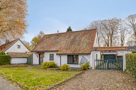 undefined main image