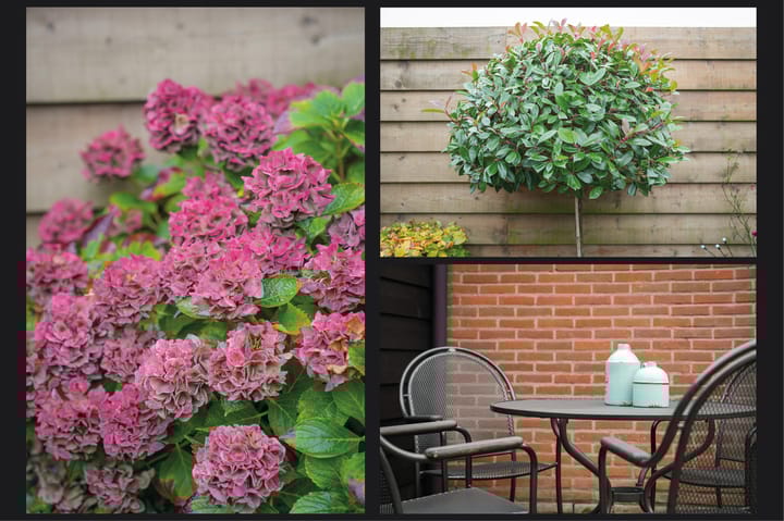 Foto 27 van Berkenstraat 3