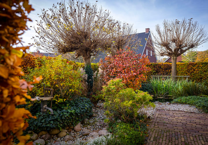 Foto 7 van Leliestraat 9