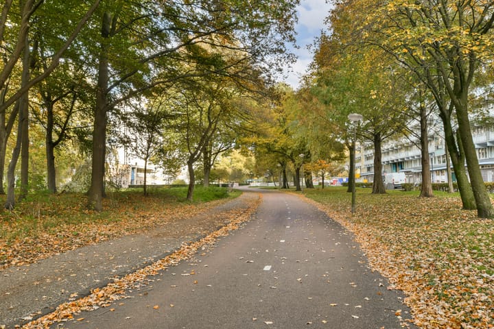 Photo 21 of Haag en Veld 295-A