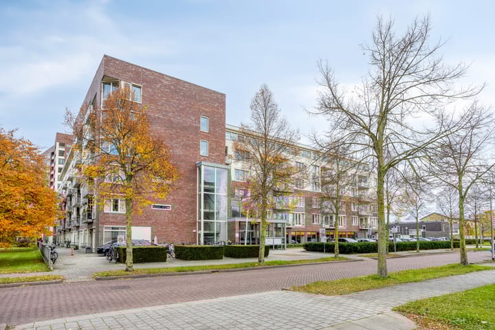 Foto 39 van Händellaan 497