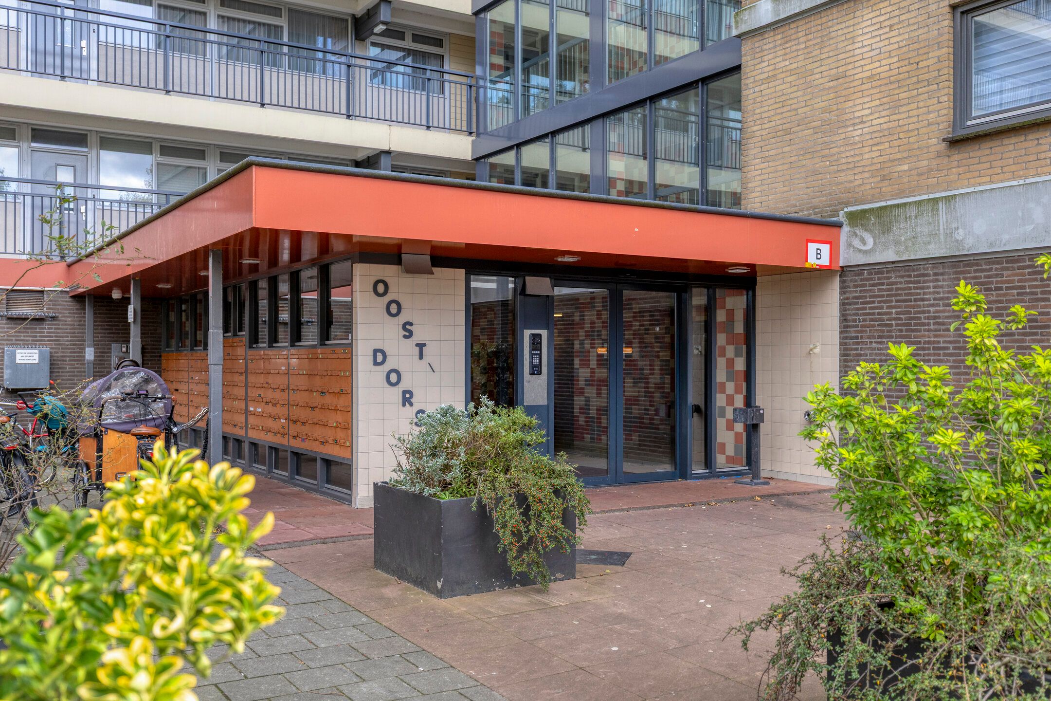 Photo 3 of Oost-Dorsch 37