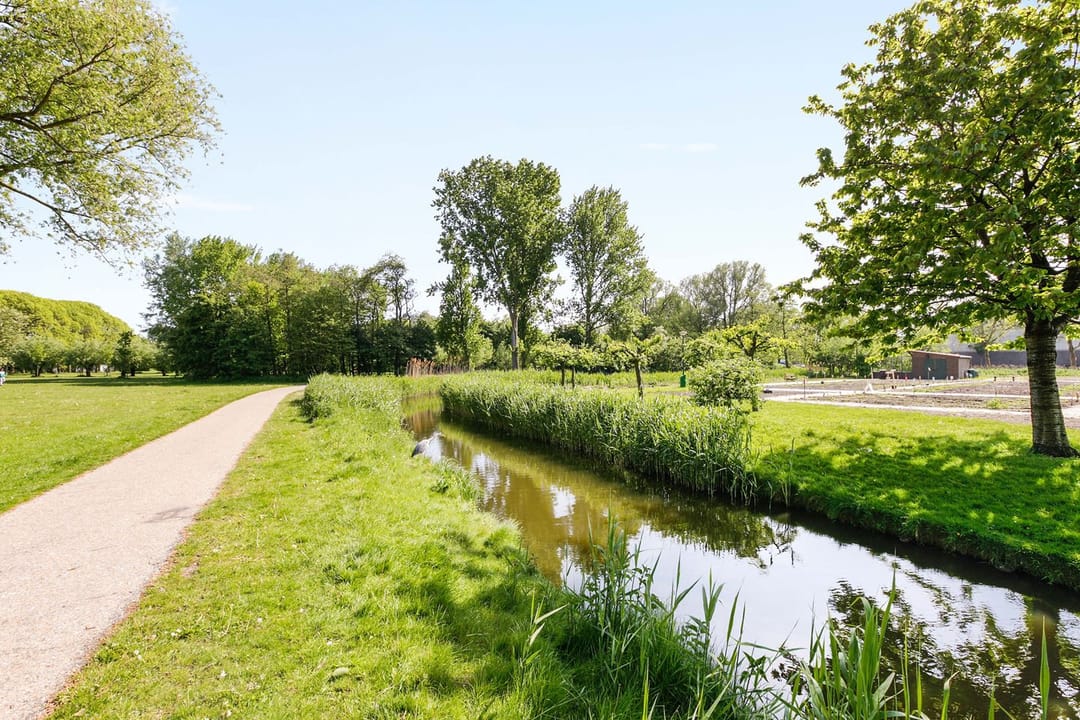 Photo 22 of Oost-Dorsch 37