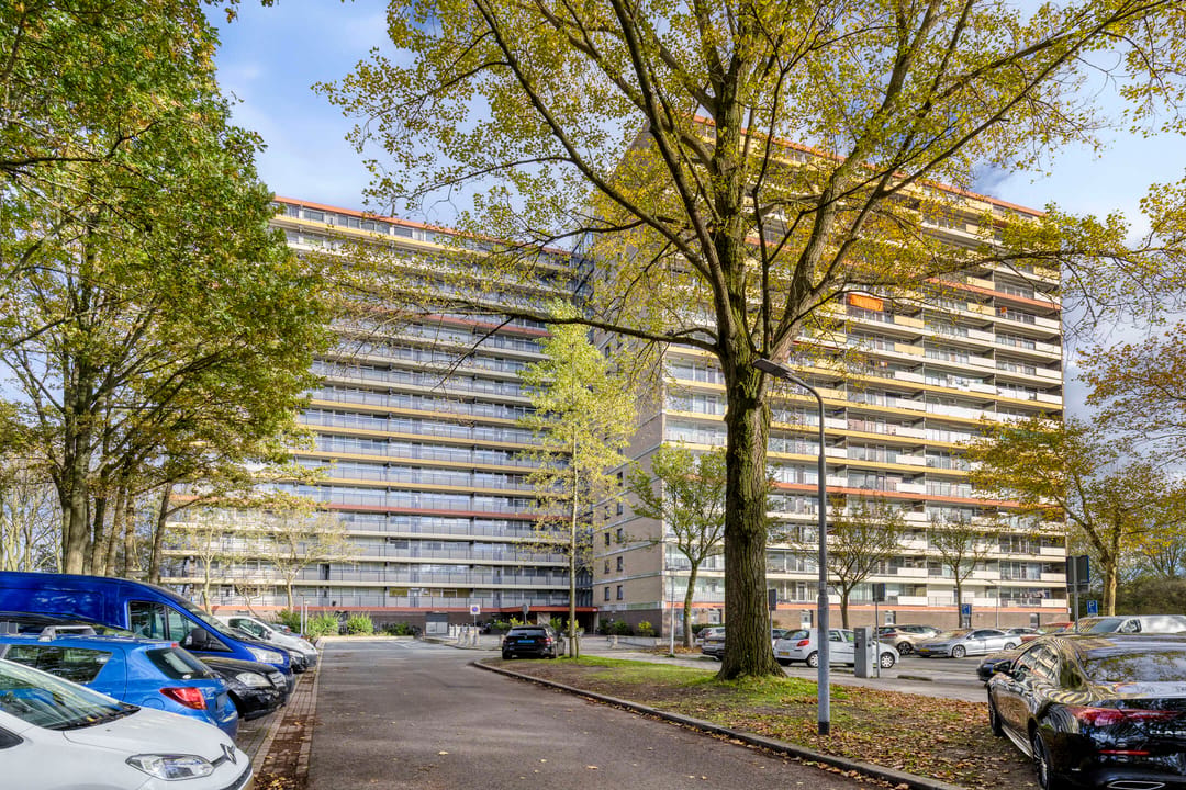 Photo 2 of Oost-Dorsch 37