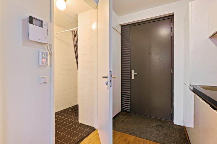 Photo 3 of Bos en Lommerplantsoen 17-K