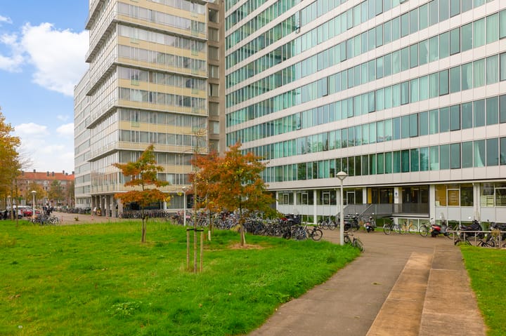 Photo 23 of Bos en Lommerplantsoen 17-K