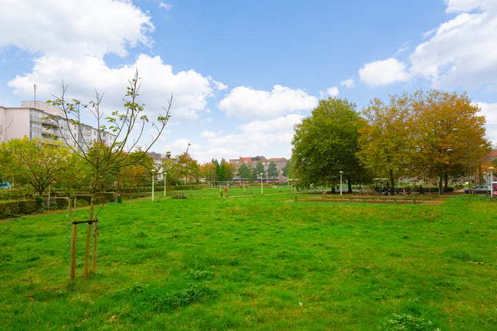 Photo 24 of Bos en Lommerplantsoen 17-K