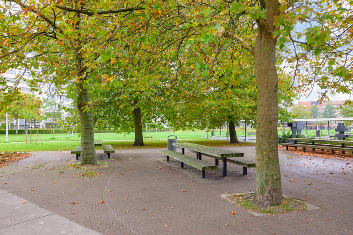 Photo 25 of Bos en Lommerplantsoen 17-K