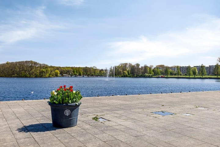 Foto 42 van Van Suchtelen van de Haarestraat 24-G