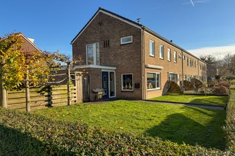 undefined main image