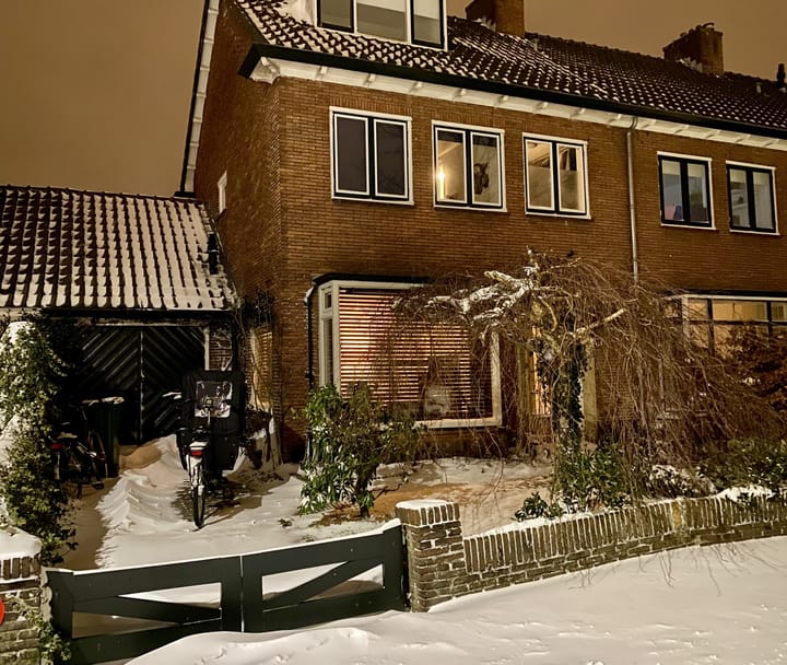 Foto 41 van Van Riebeecklaan 50