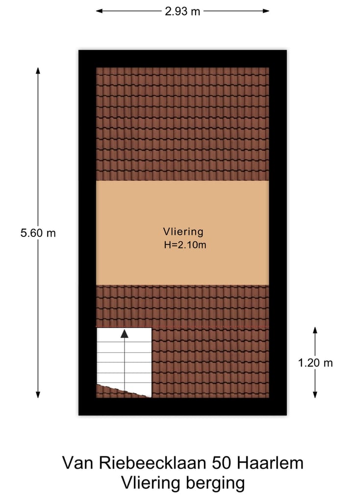 Foto 45 van Van Riebeecklaan 50