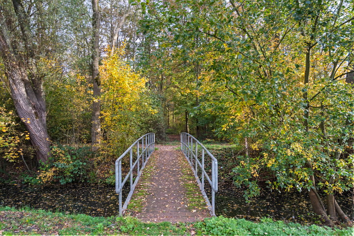 Photo 66 of Landingsplaats 5