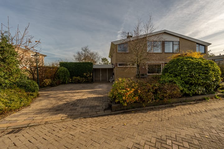 Prins Willem Alexanderln 48 main image