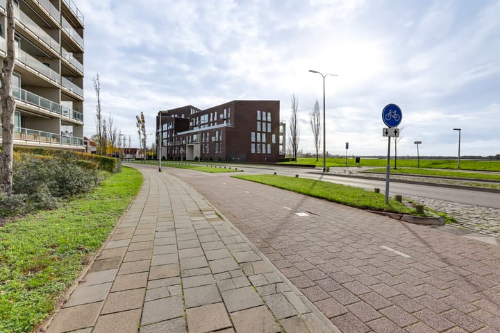 Photo 45 of Pothoofd 359