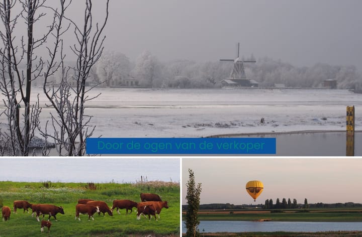 Photo 47 of Pothoofd 359