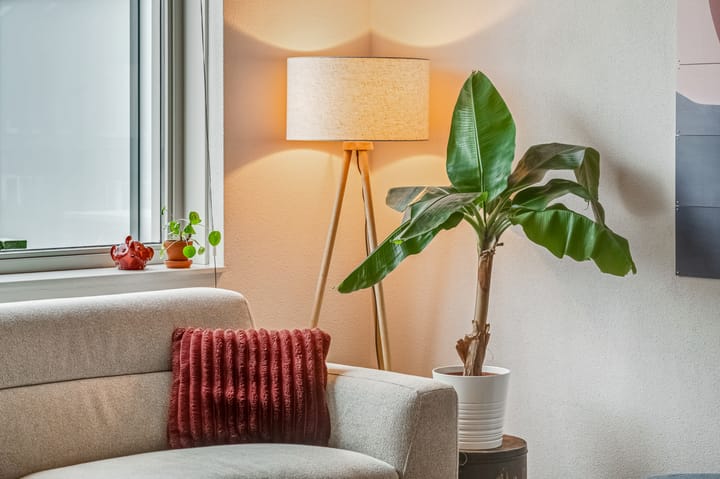 Photo 4 of Roseboomlaan 88