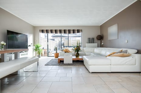 Palmestein 71 secondary image