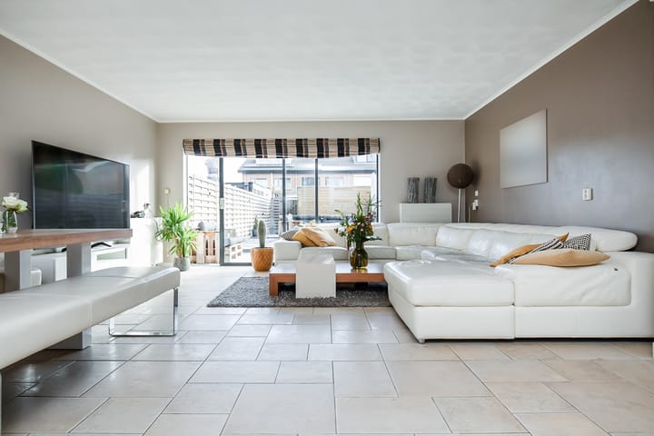 Photo 2 of Palmestein 71