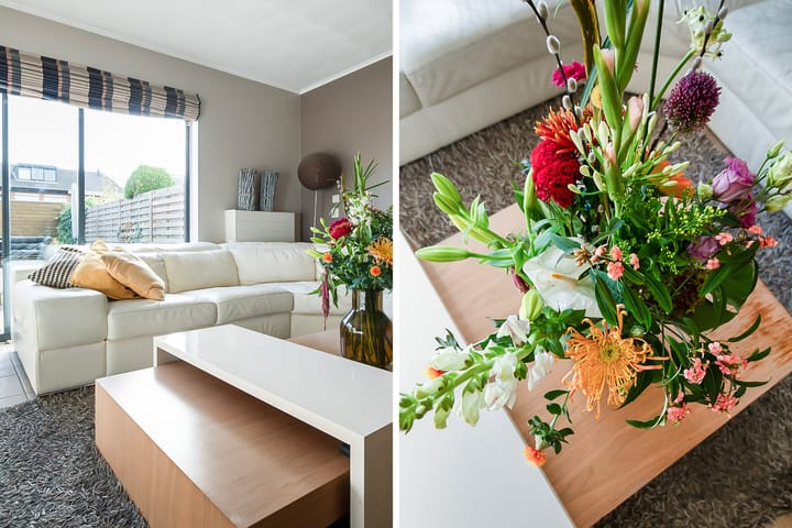 Photo 9 of Palmestein 71