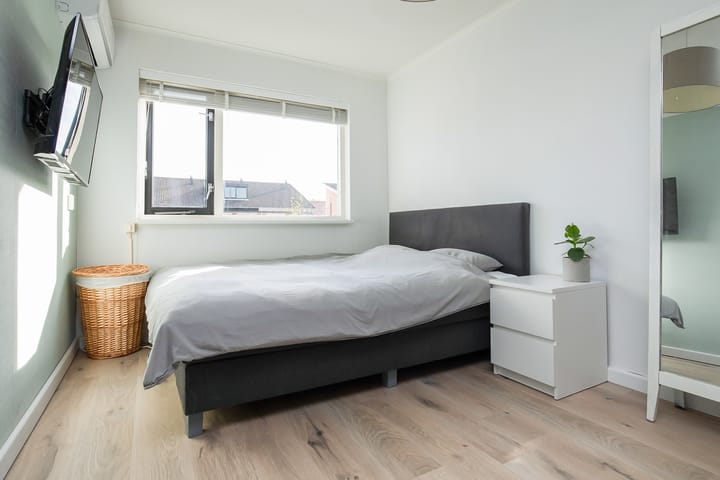 Photo 19 of Palmestein 71