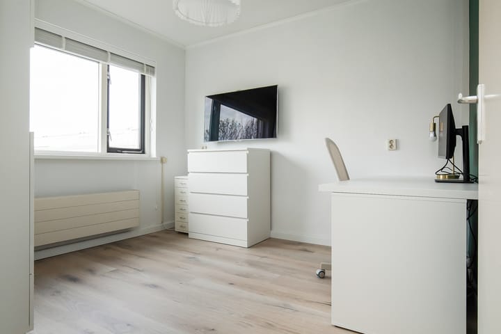 Photo 20 of Palmestein 71