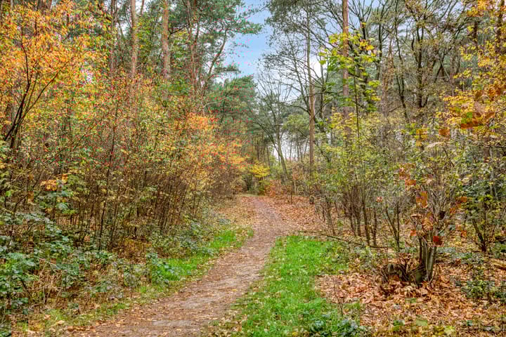 Photo 48 of Vlinderlaan 39