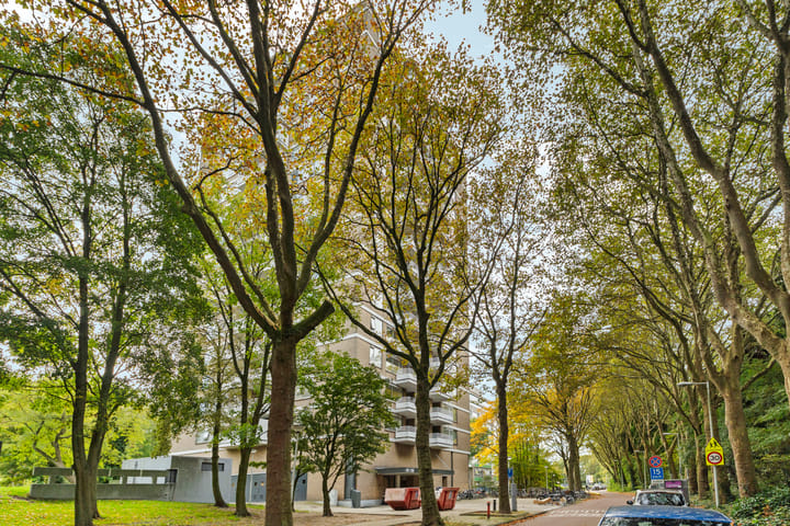 Photo 26 of Nachtwachtlaan 41