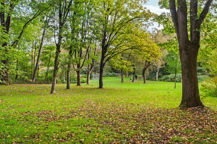 Photo 28 of Nachtwachtlaan 41