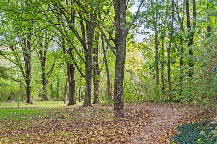 Photo 33 of Nachtwachtlaan 41