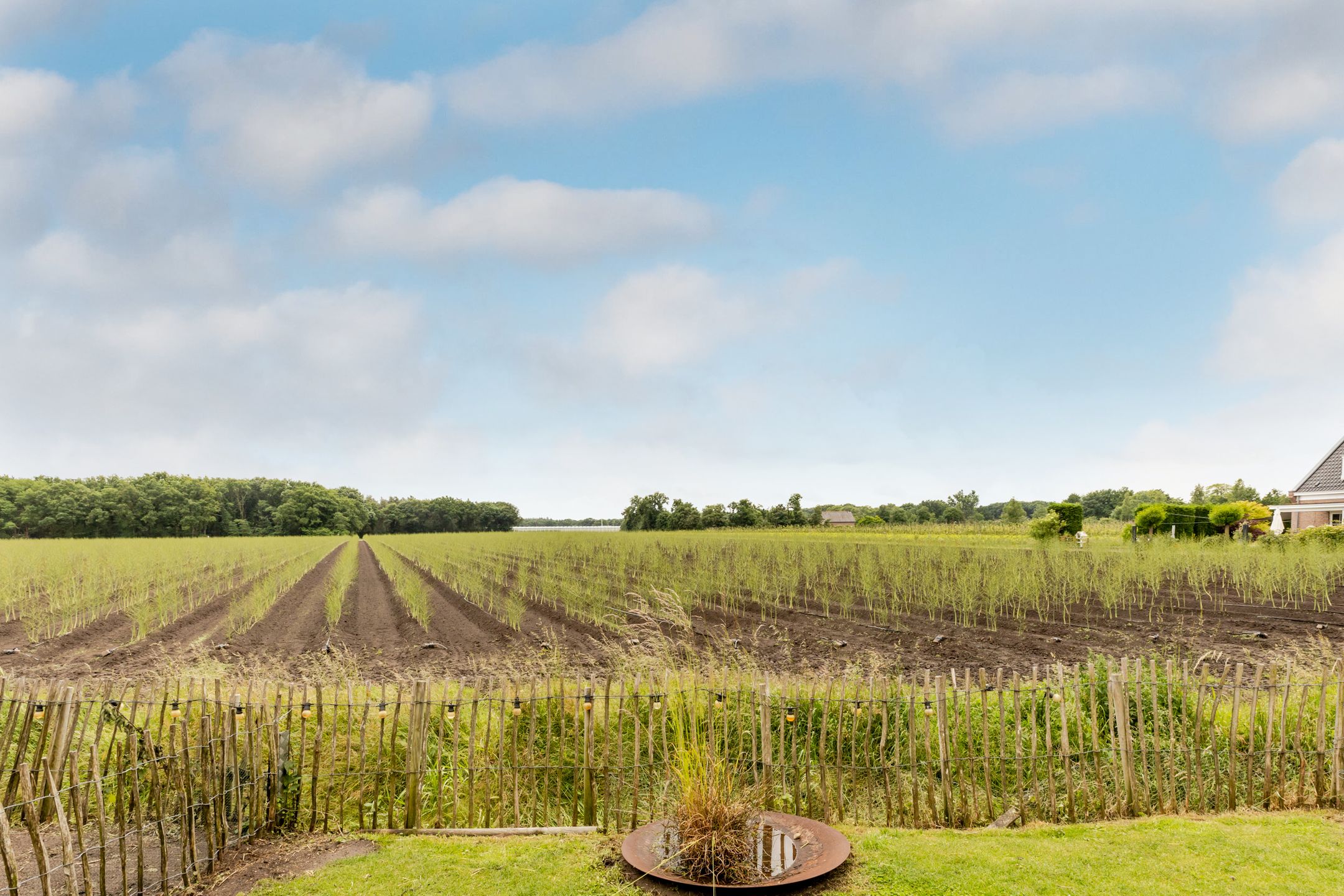 Photo 33 of Kaarsenmaker 50