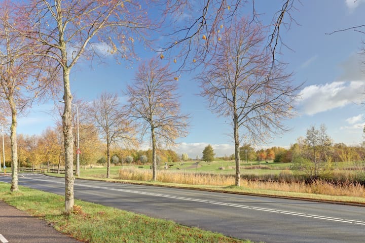 Photo 7 of Oranjepad 14