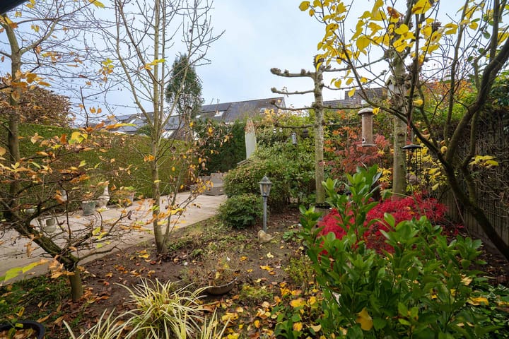 Foto 34 van De Pelikaan 60