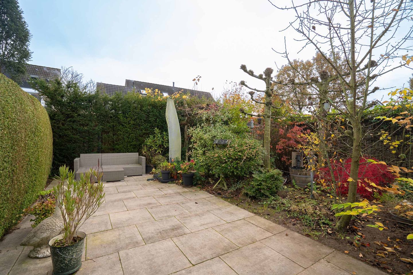 Foto 35 van De Pelikaan 60