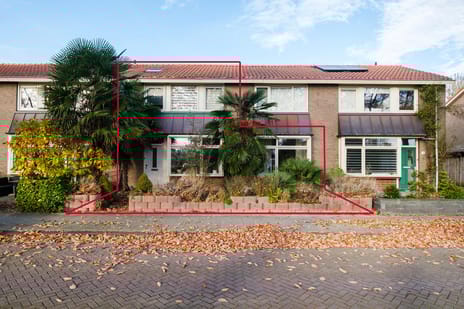 undefined main image