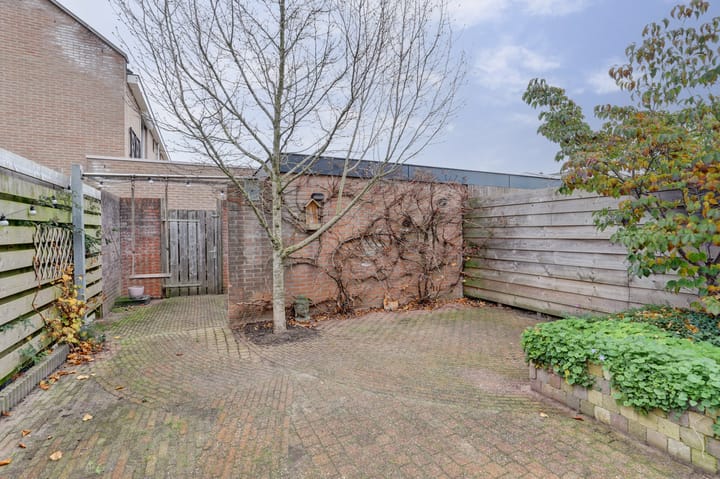 Foto 35 van Bacchus 46