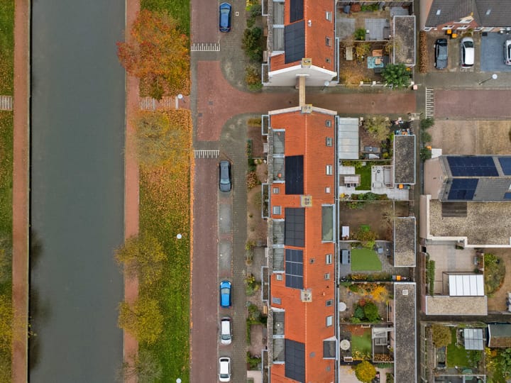 Foto 45 van Bacchus 46