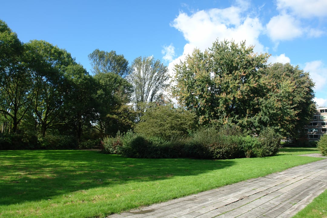 Foto 13 van Adriaan Dortsmanstraat 23