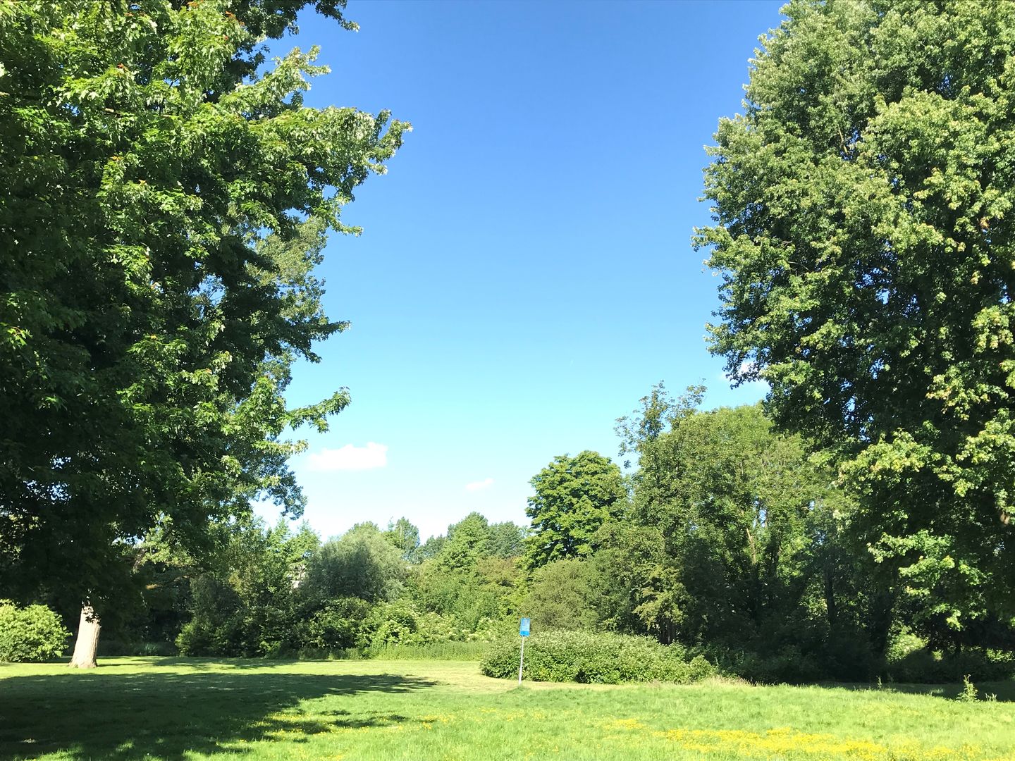 Foto 14 van Adriaan Dortsmanstraat 23