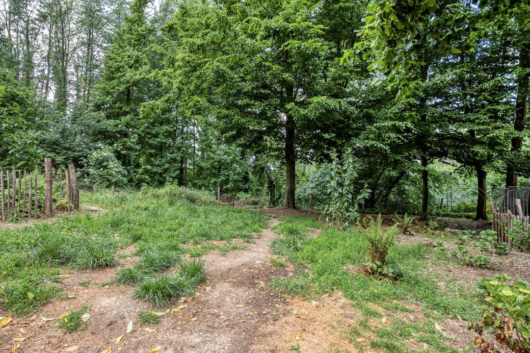 Foto 31 van Moorveldsberg 50