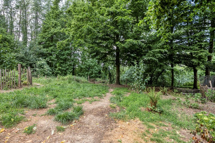 Photo 31 of Moorveldsberg 50