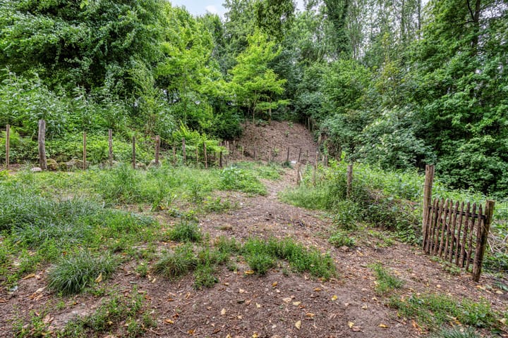 Photo 32 of Moorveldsberg 50