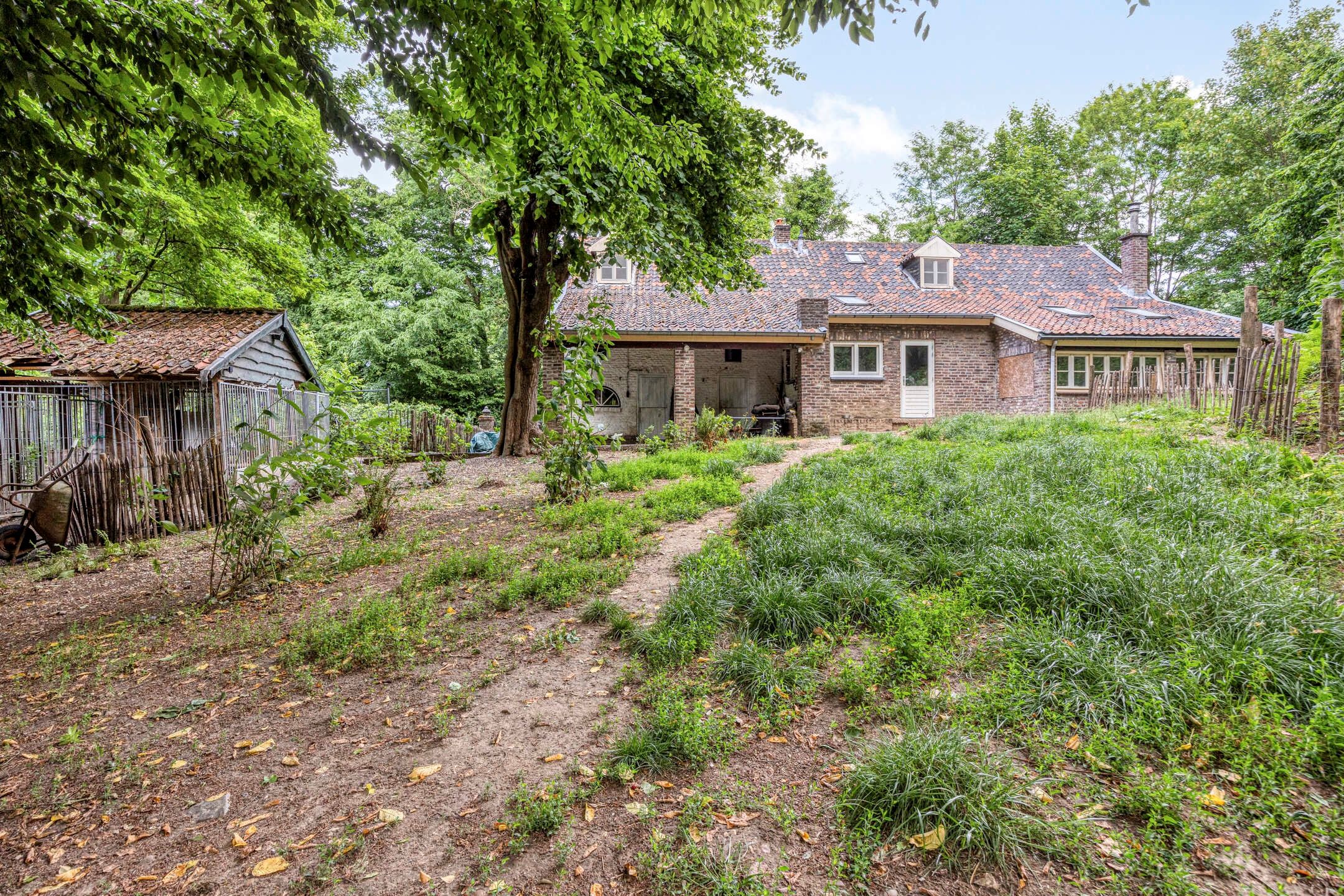 Foto 33 van Moorveldsberg 50