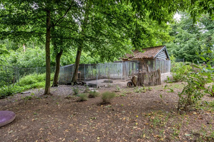 Photo 34 of Moorveldsberg 50