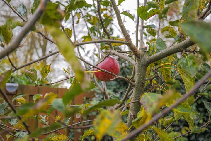 Foto 35 van Menkemaheerd 1