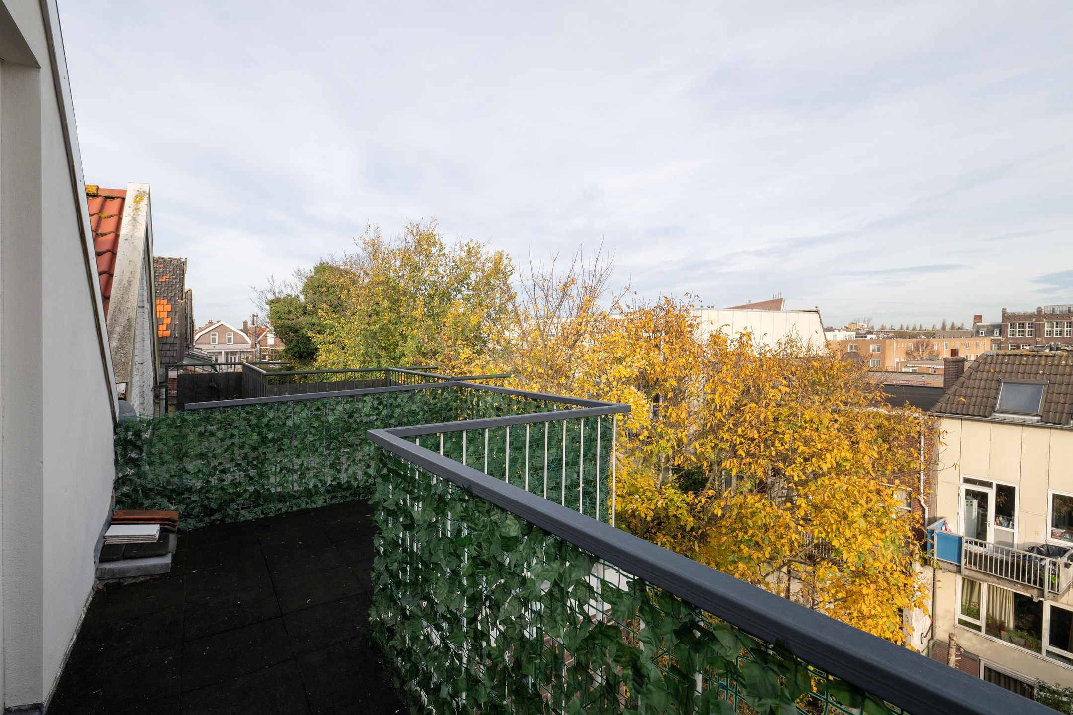 Foto 12 van Zaagmolenstraat 133-D