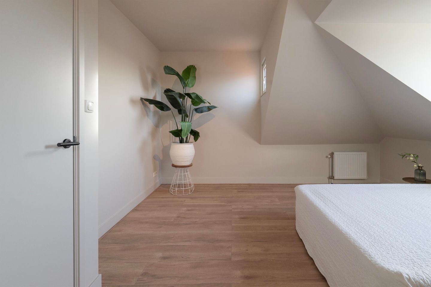 Foto 20 van Zaagmolenstraat 133-D