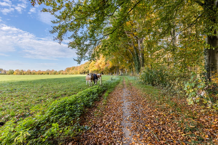 Foto 63 van De Sikkel 18