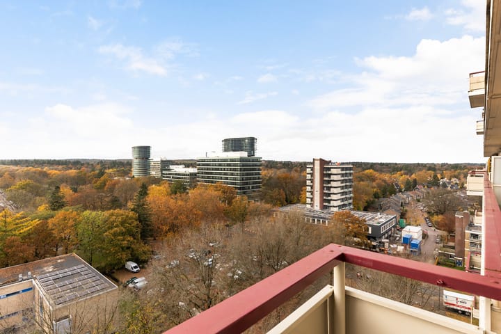 Foto 2 van Henri Dunantlaan 193