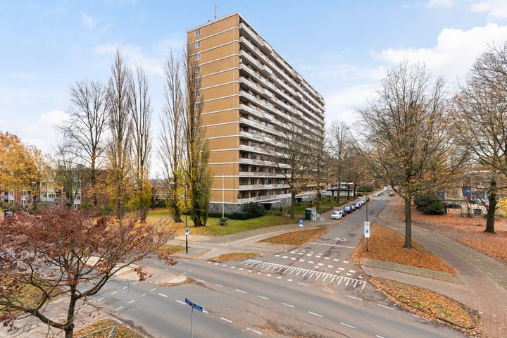 Foto 4 van Henri Dunantlaan 193